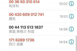 金川债务清欠服务